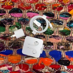 Brand new apple charger and headphones